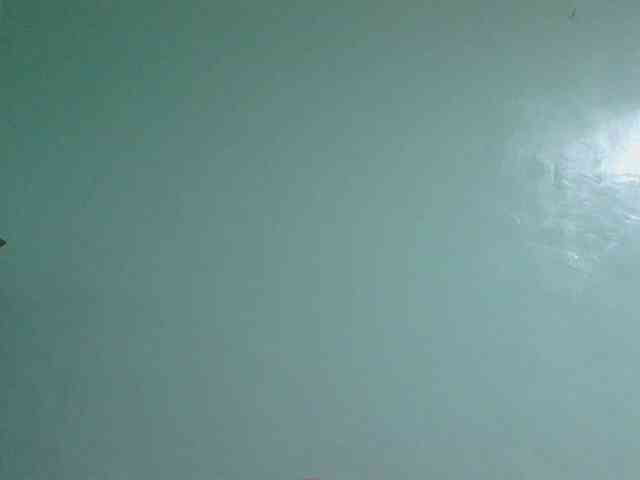 sexxynila webcam