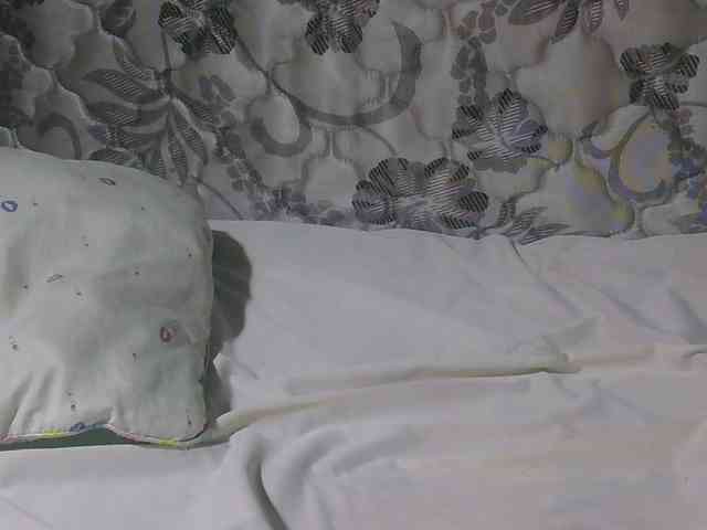 sexxynila webcam