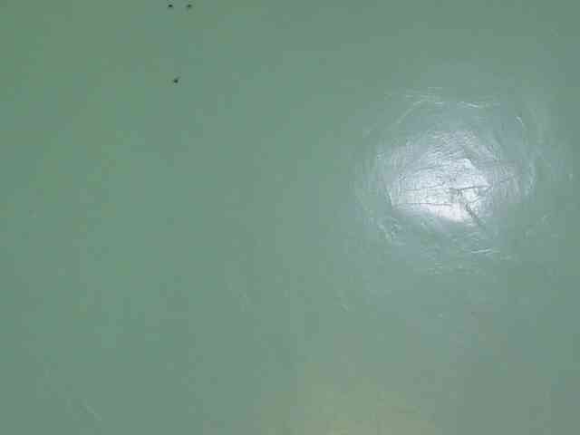 sexxynila webcam