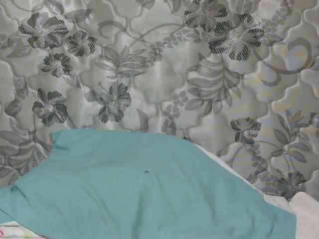 sexxynila webcam