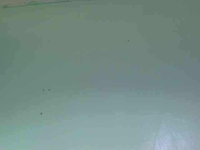 sexxynila webcam
