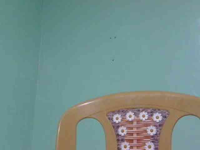 sexxynila webcam