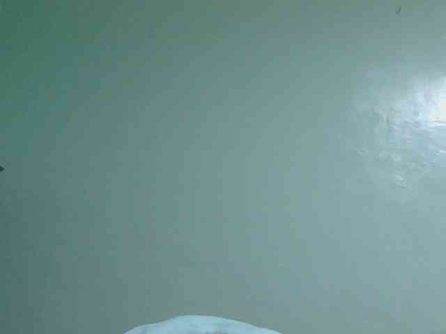 sexxynila