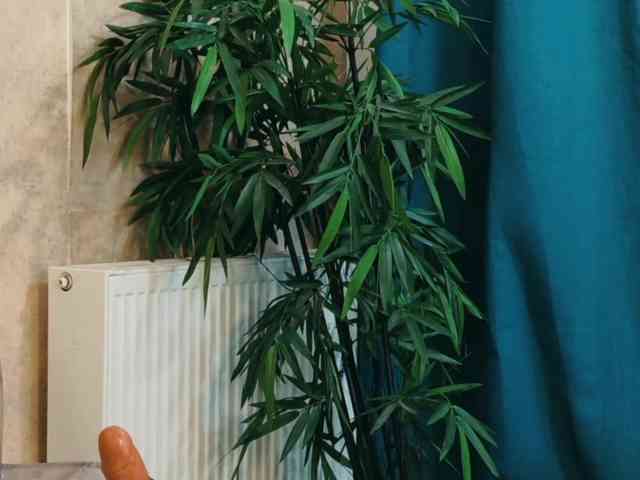 EmaCarter webcam