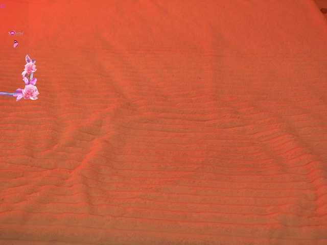 LiaGotti live cam on BongaCams