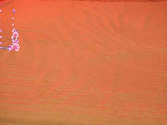 LiaGotti webcam