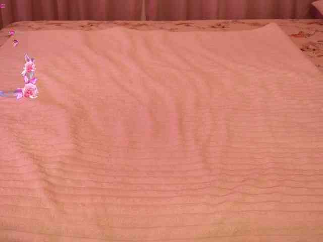 LiaGotti webcam