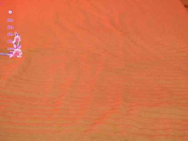 LiaGotti webcam
