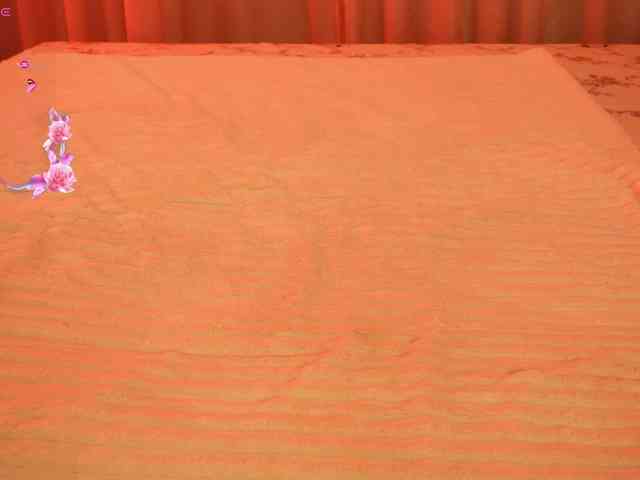LiaGotti webcam