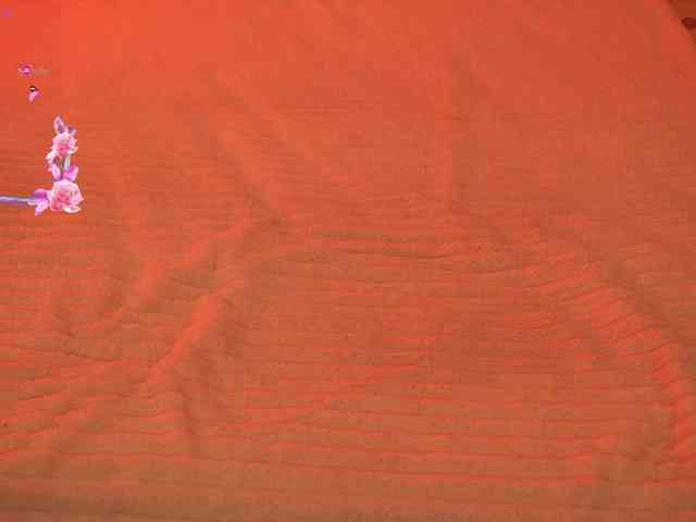 LiaGotti webcam