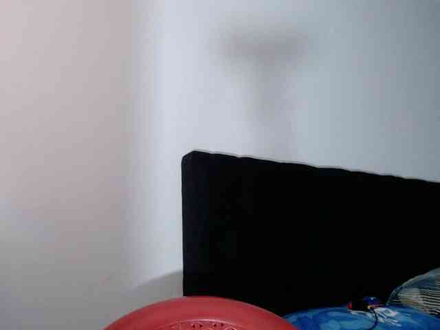 Milan-rs webcam