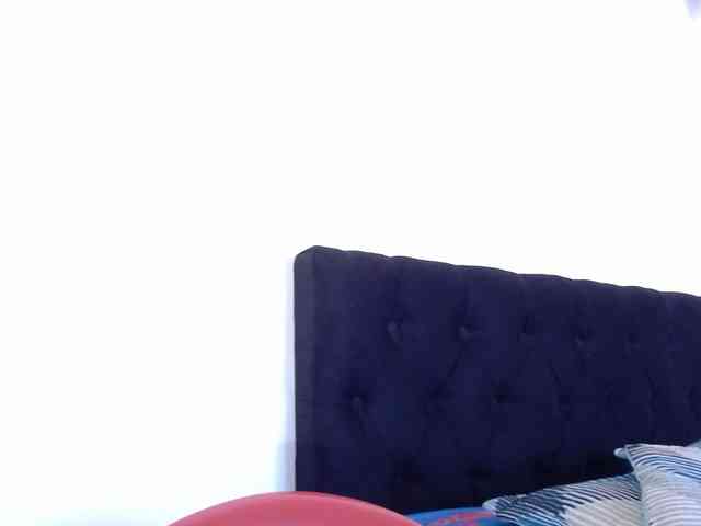 Milan-rs webcam