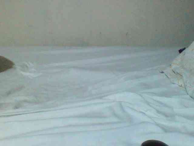 Sexyyves webcam