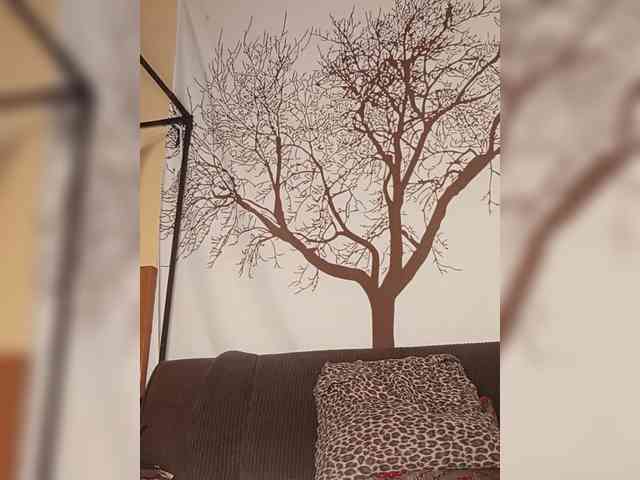 BEENCEE