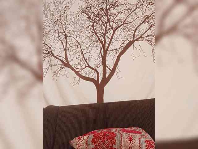 BEENCEE webcam