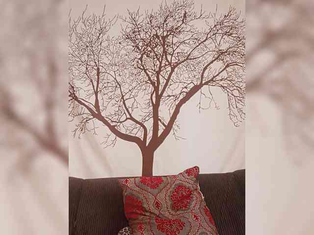 BEENCEE