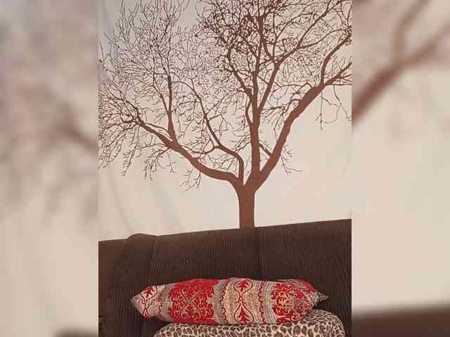 BEENCEE