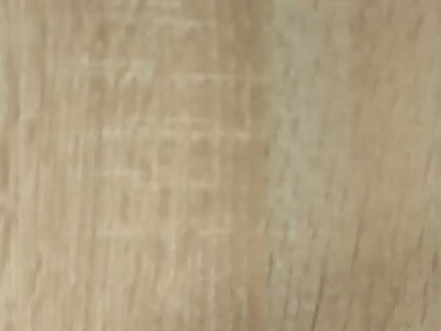 NoFaceModel live cam preview