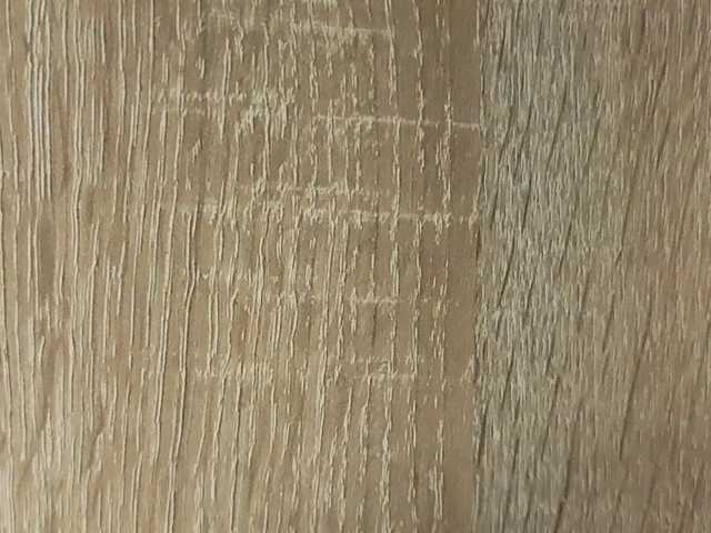 NoFaceModel live cam preview