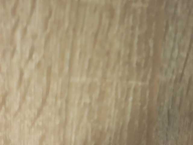 NoFaceModel