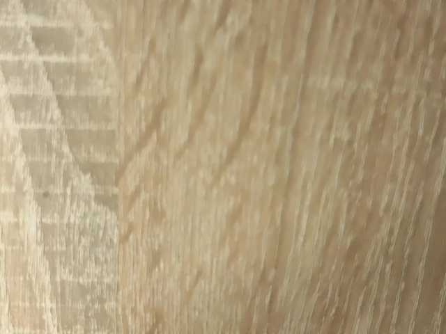 NoFaceModel