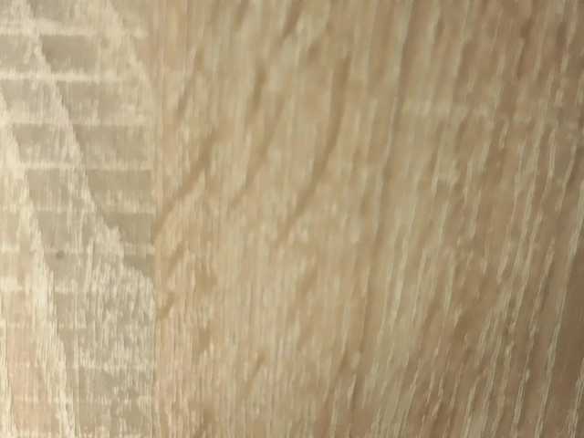 NoFaceModel