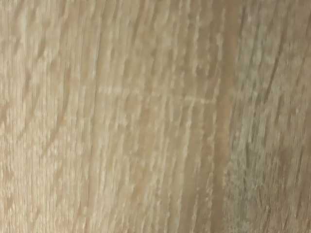 NoFaceModel