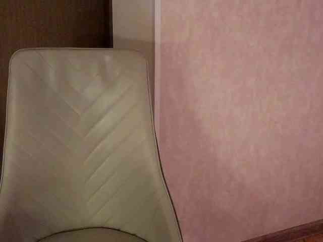 NoFaceModel webcam