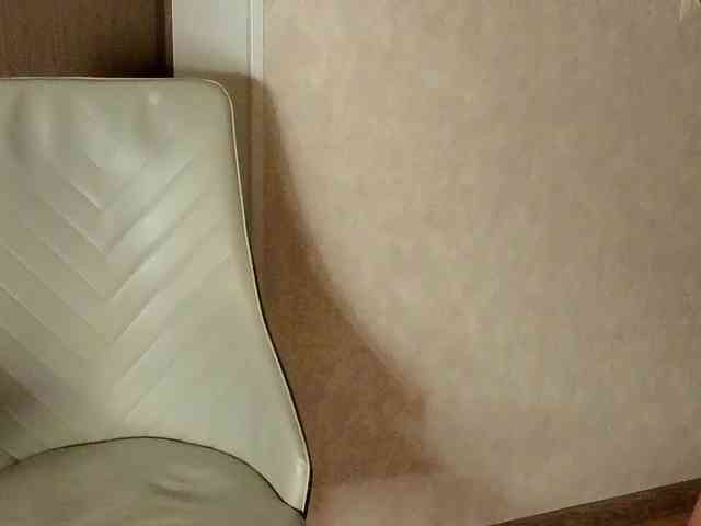 NoFaceModel webcam