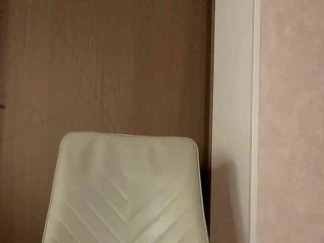 NoFaceModel webcam