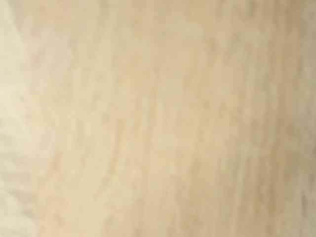 NoFaceModel webcam