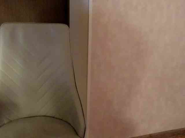 NoFaceModel webcam