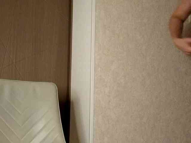 NoFaceModel webcam