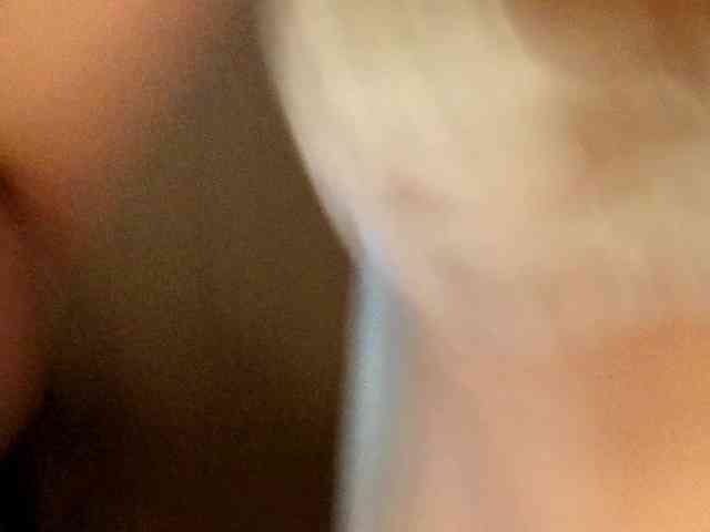 NoFaceModel webcam