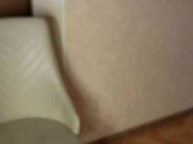 NoFaceModel webcam