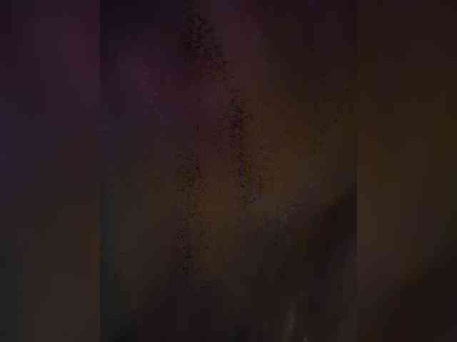 DimaSexIva webcam