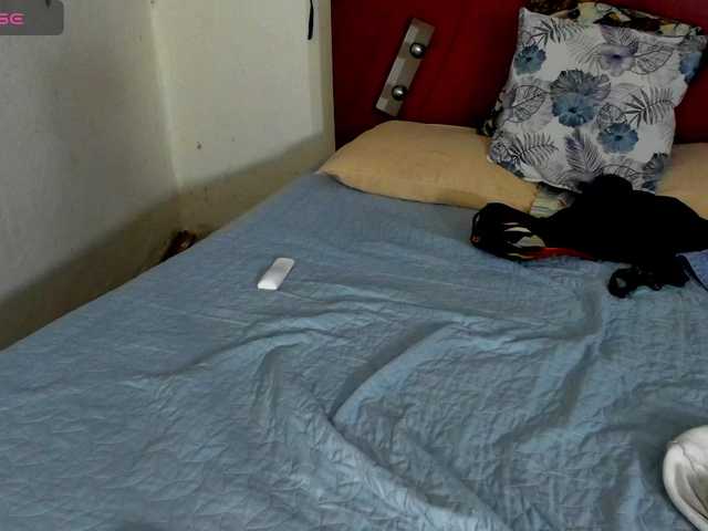 morbo-total69's BongaCams profile