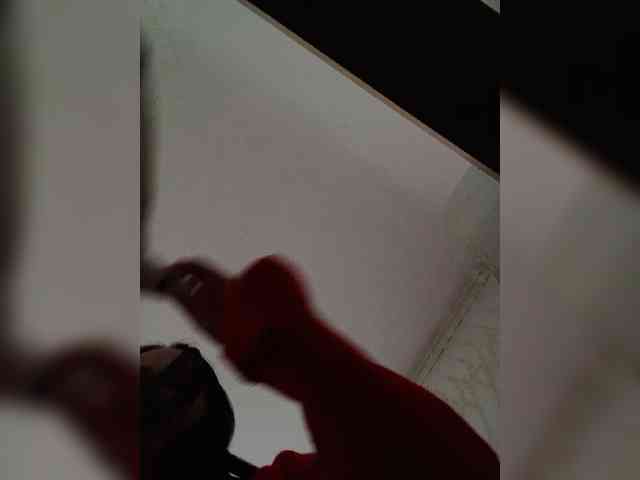 MILEEDI