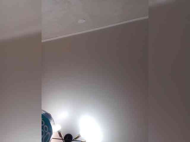 MILEEDI webcam