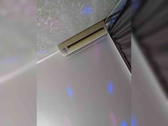 MILEEDI webcam