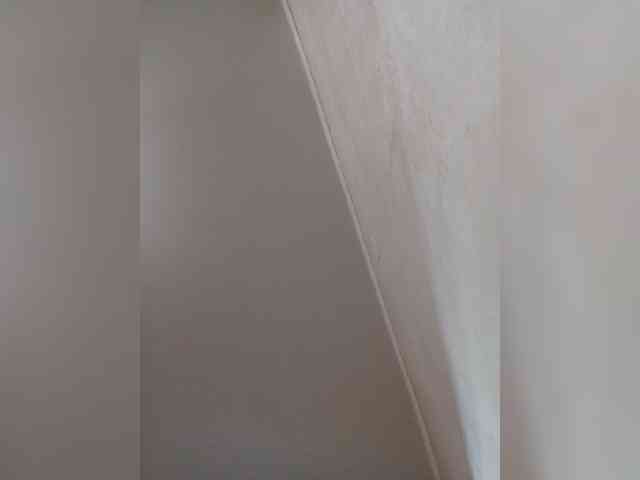 MILEEDI webcam