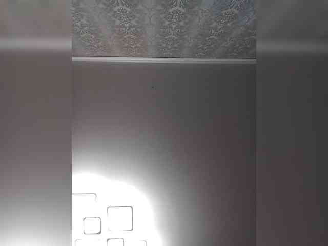MILEEDI webcam