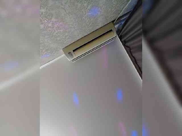 MILEEDI webcam