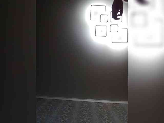 MILEEDI webcam