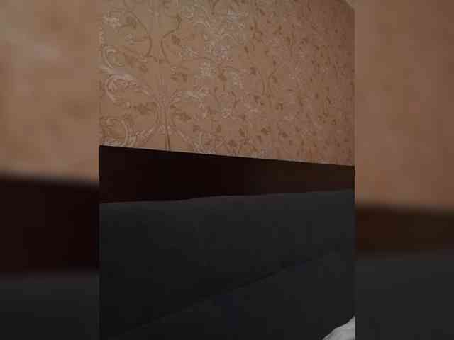 MILEEDI webcam