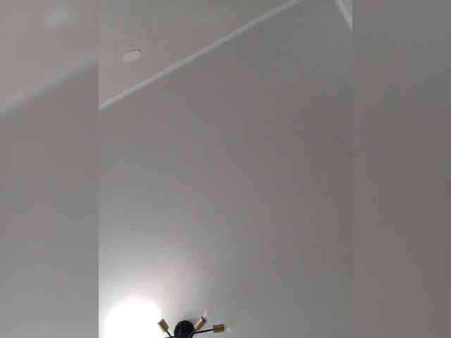 MILEEDI webcam