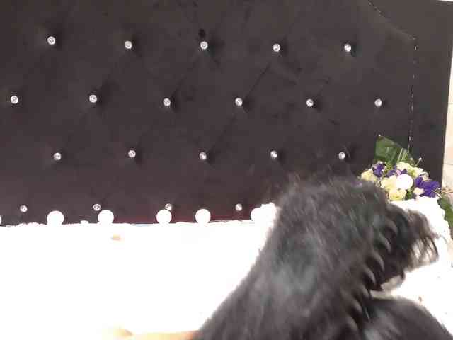 Sweeteest-Julie webcam