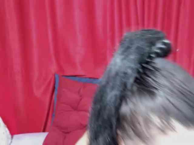 Sweeteest-Julie webcam