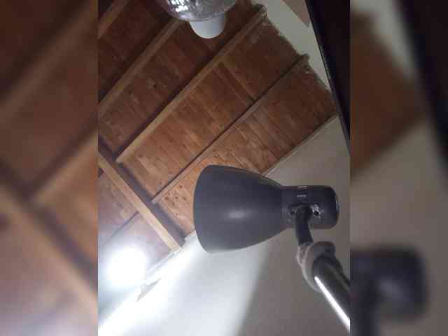 kory-star webcam