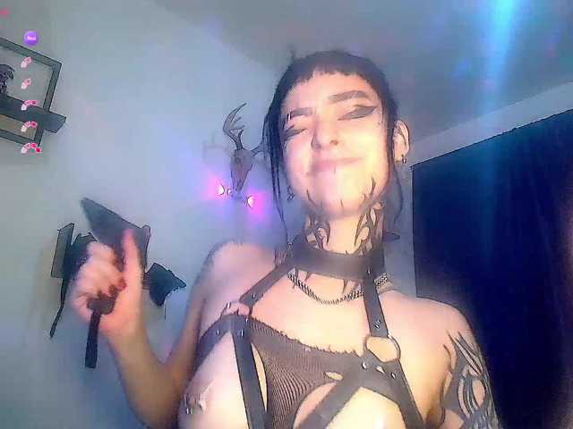 DakariaHills live cam on BongaCams